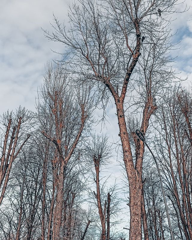 mirai_taro в LOOKY. . Есть что то в этом с...