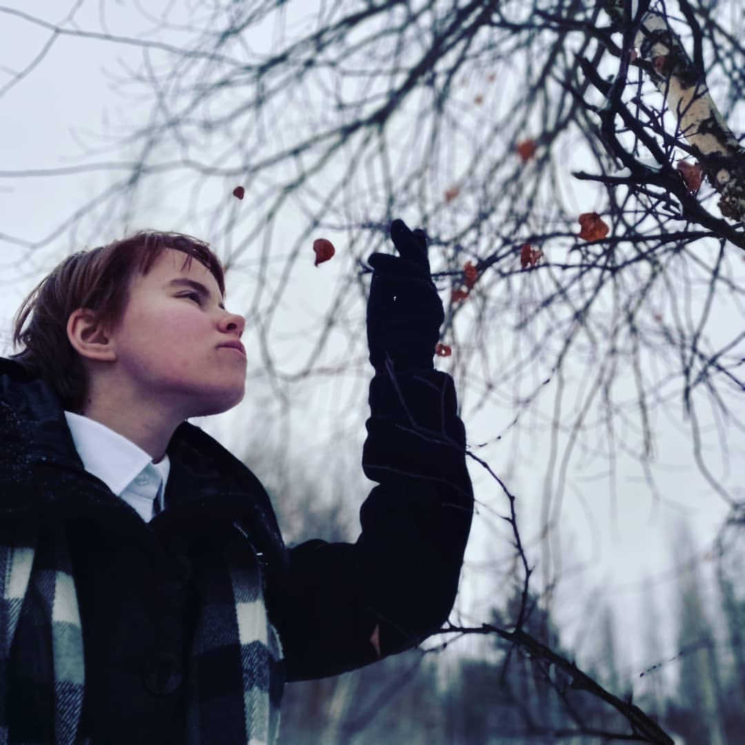 Любуемся веточками🍂
Ожидаю новогоднее настроение, но как-то не очень идёт пока.
.
.
.
.
.
#зима #декабрь #2021 #Россия #санктпетербург #Питер #СПб #петергоф #парк #снег #деревья #листья #сугробы #winter #saintpetersburg #snow #winterwibes