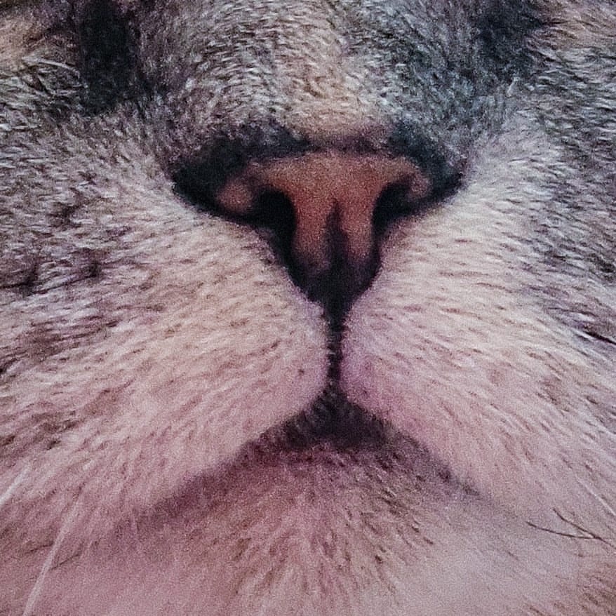 p_.jull в LOOKY — фото 2