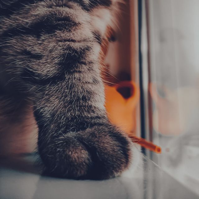 p_.jull в LOOKY. . топ 🐾