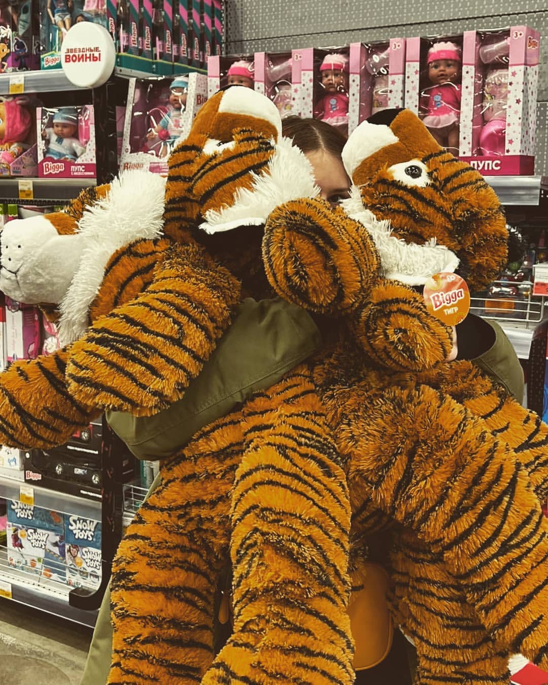 🐯🐯🐯