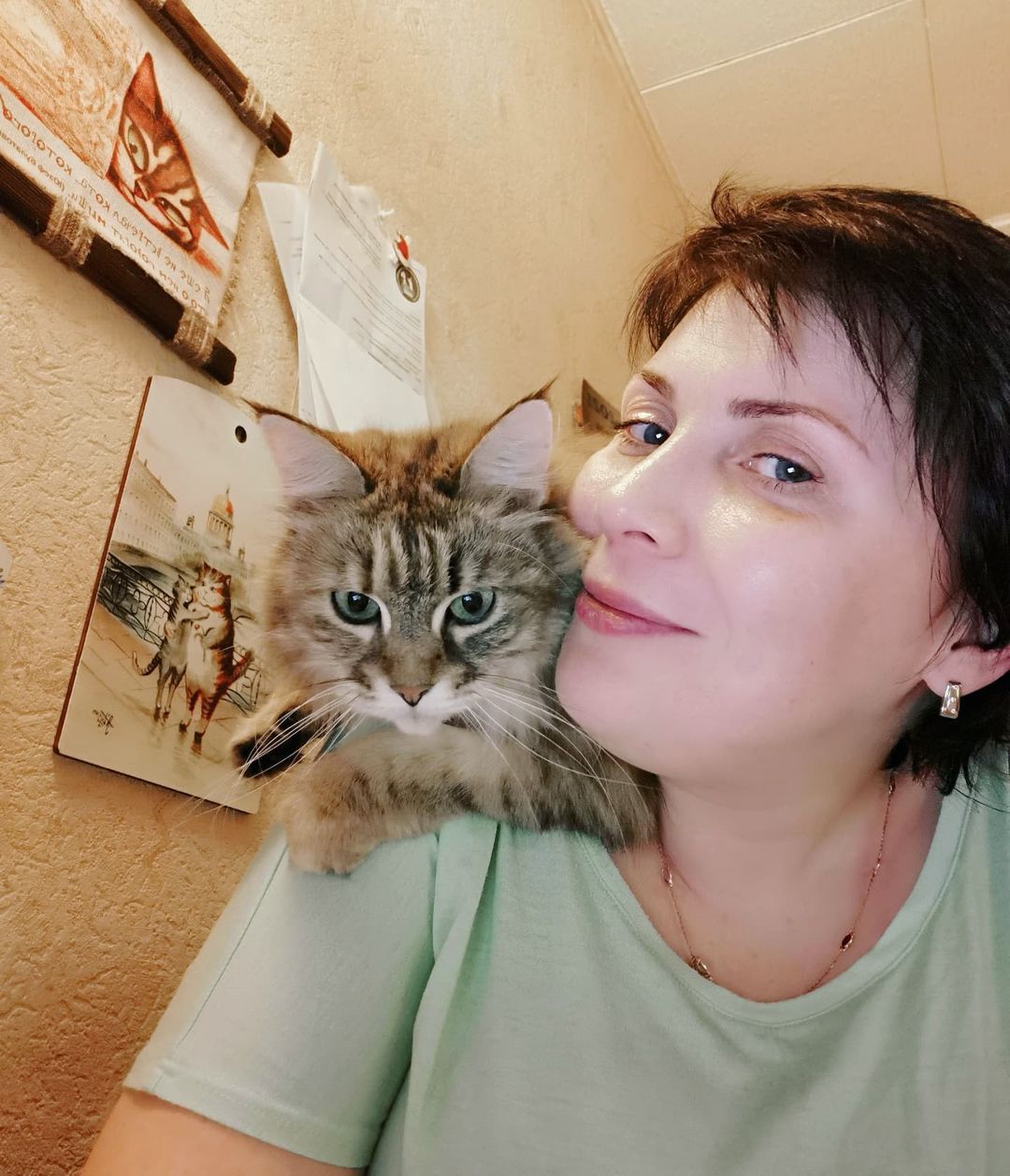 mycatgrooming in LOOKY. #кошки,#кошачийгрумер,#грумингкошек,#грумингкошекмосква,#грумеркошекмосква,#грумерходякова,#МоёКошачьеДело,#помытькотамосква,#помытькошкумосква,#мастеркласс,#yukihocats,#catgrooming,#mycatgrooming,#catbeauty,#householdcatgrooming. "Когда ты помыл кота...