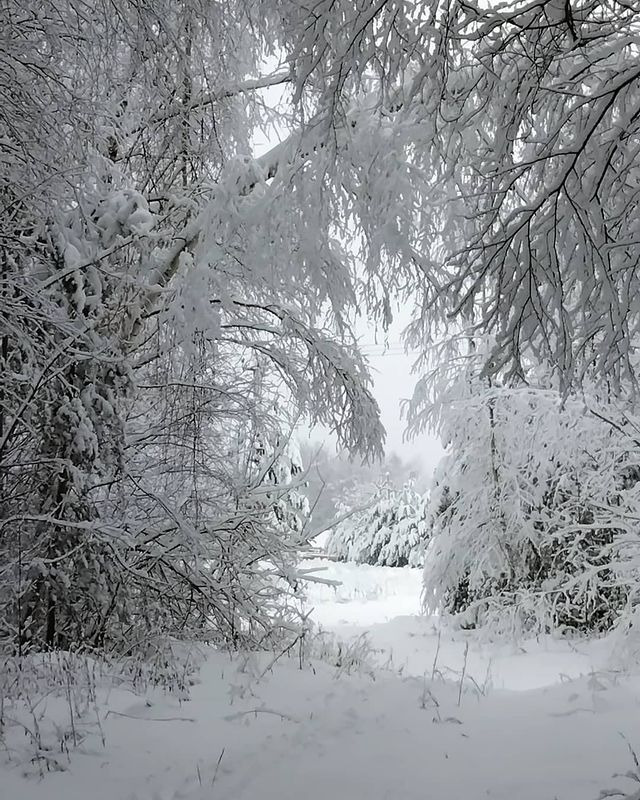 ry_niki в LOOKY. . Красота😍