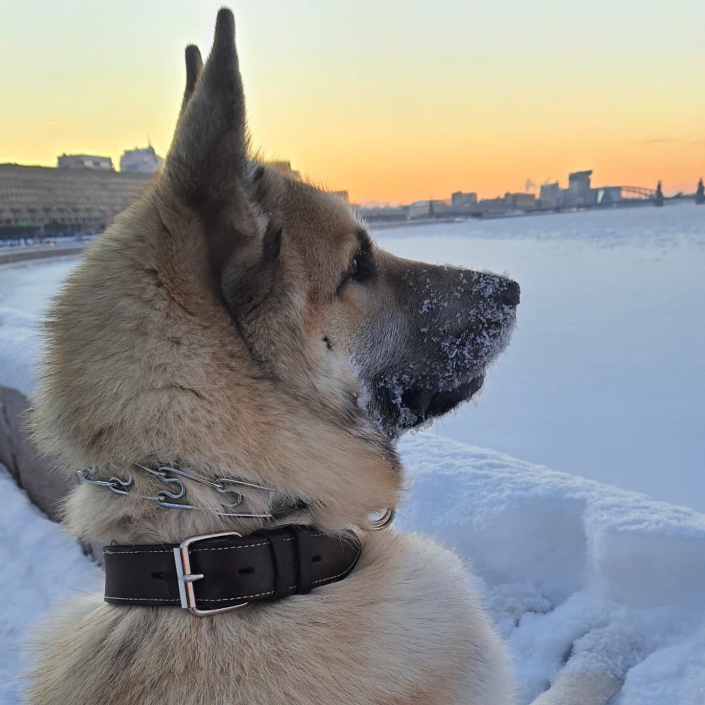 dimonpov в LOOKY — фото 3
