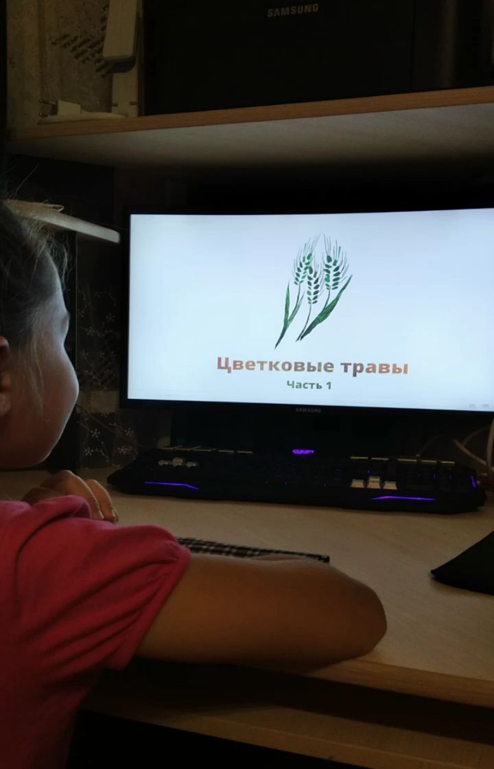 ma_rinaprice в LOOKY. #со,#семейноеобразование,#сошники,#семейноеобучение,#соловьёвроманборисович,#окружающиймир,#учёба,#школа,#гранитнауки,#альтернативноеобучение,#хоумскулер,#свободноеобразование,#дети,#учитьсяинтересно,#поляничко_со. Проходим обучение по...