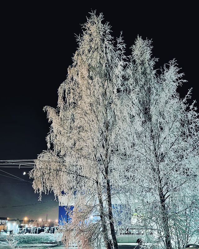 alexeybarukin в LOOKY. #питер#спб,#восход#восходсолнца,#промзонапарнас,#зима,#небо#p30pro,#huaweip30pro,#снятонаhuawei#mobilephoto#mobilephotography#piter#sun,#winter. #питер#спб #восход#в...