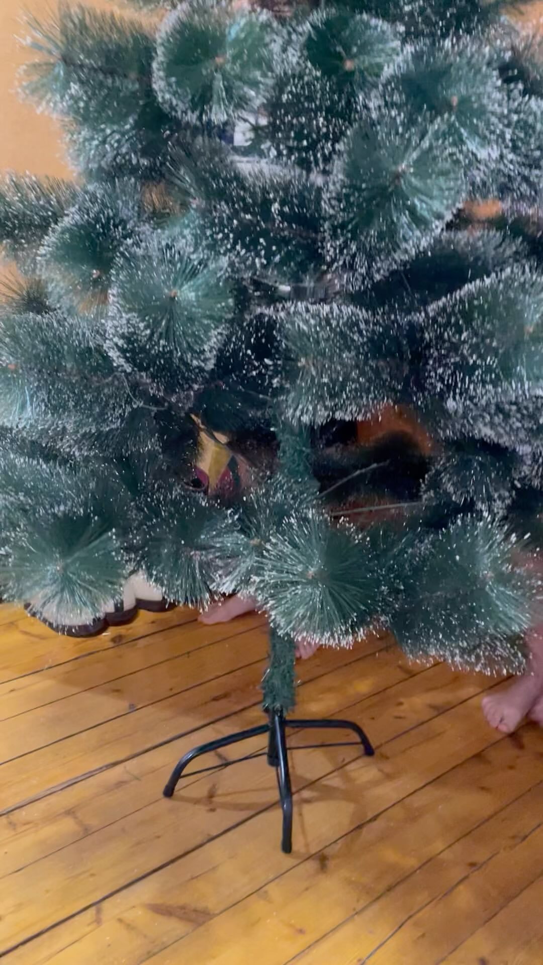 rozhinaliliya в LOOKY. . Уолаттар елкаларын б...