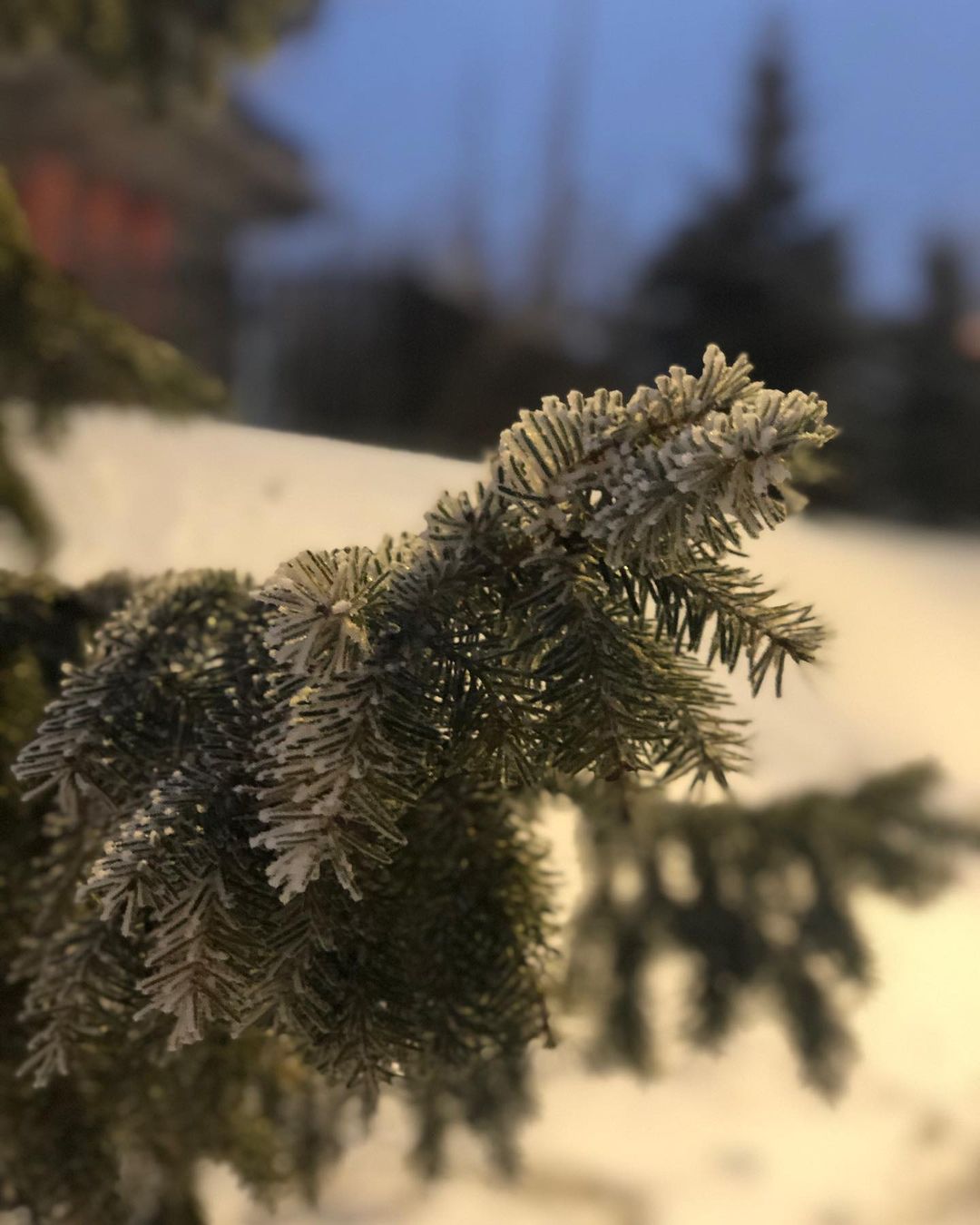 Ну какова красота!#зима#скороновыйгод