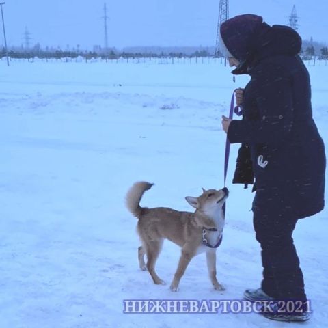 dressirovka_nv in LOOKY. . Если у Вас маленькая...