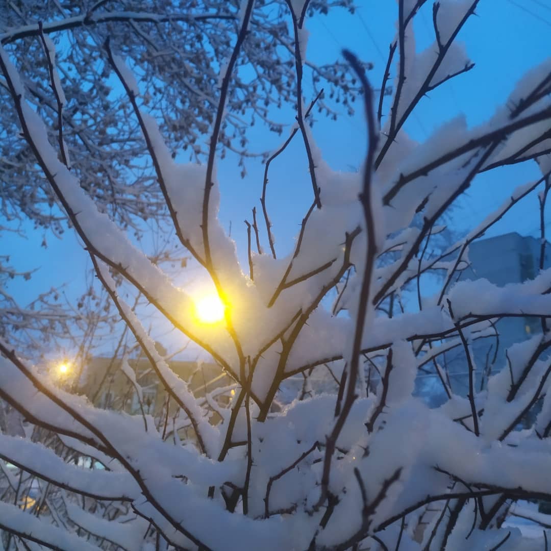 xameliowka в LOOKY. . Утренняя сказка 😍❄