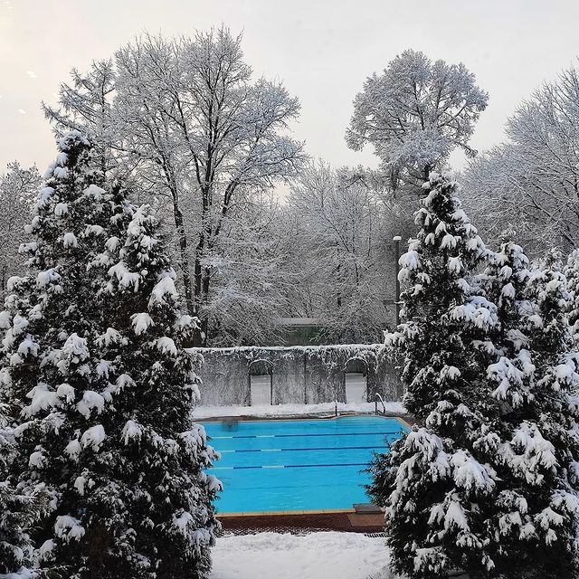 kranin в LOOKY. . null