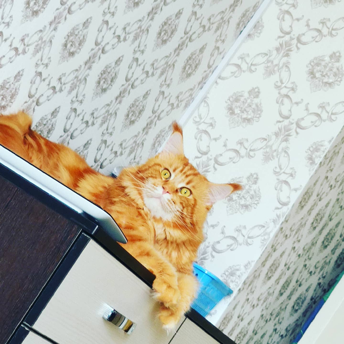 natalya_alekseevnad в LOOKY. . Ребёнок сказал, клас...