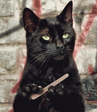 ____arkadiy___ в LOOKY — На восьмой день создал бог котов.
Это был снова понедельник,