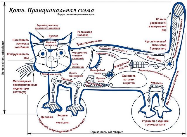 ____arkadiy___ в LOOKY. . .. Я никогда не пойм...