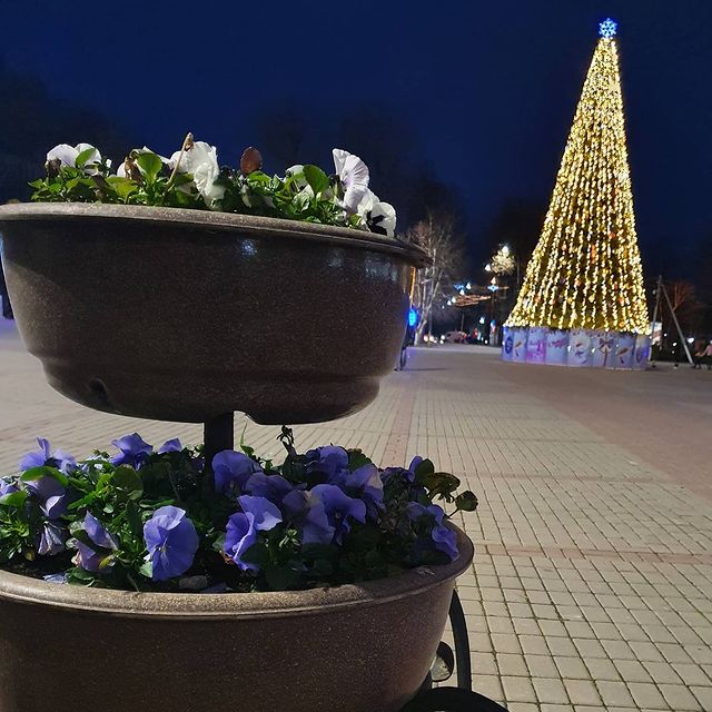 santa_barbie в LOOKY. . Всем привет!
Давно м...