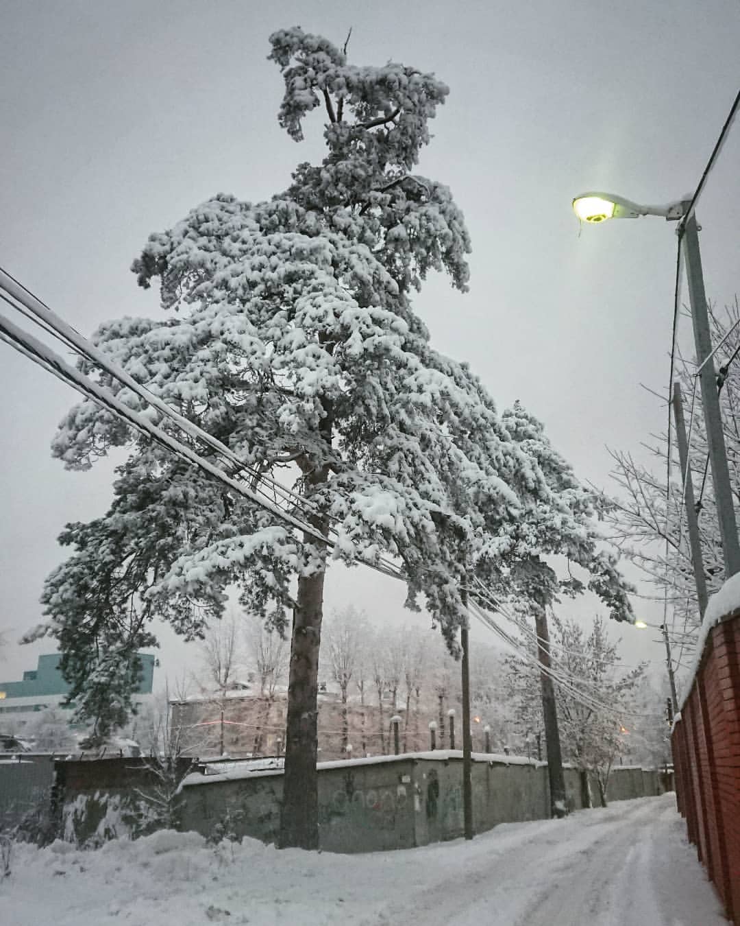 tchainka в LOOKY — Позавчера было. Сейчас-то растаяло, надо полагать. #недавноб