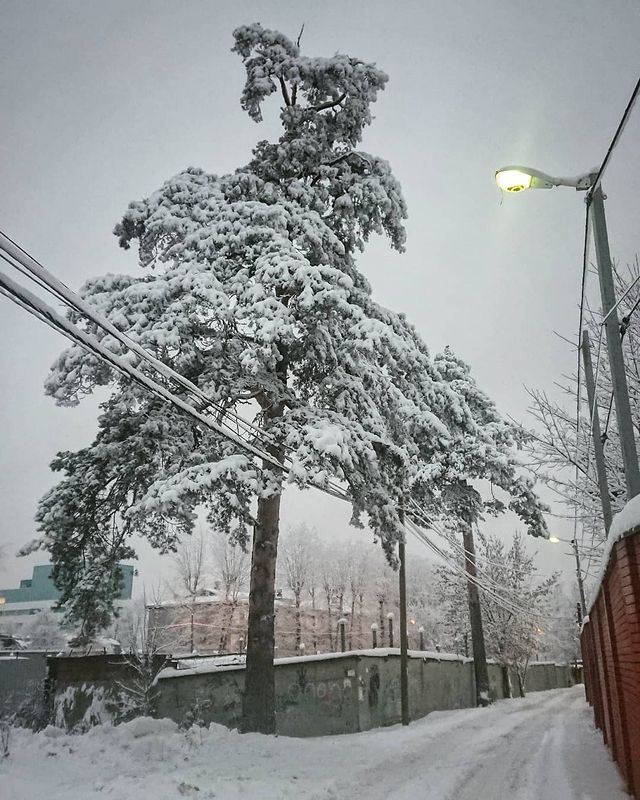 tchainka в LOOKY. #недавнобыло,#немаймесяц,#недельнаянормаснега,#снегидет,#ойчтоэто,#мимокрокодил,#снято_на_палку_от_метлы,#внашейдеревне. Позавчера было. Сейч...