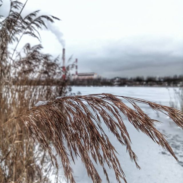 yurich_south в LOOKY. #тэц2. ТЭЦ2 Смоленск #тэц2