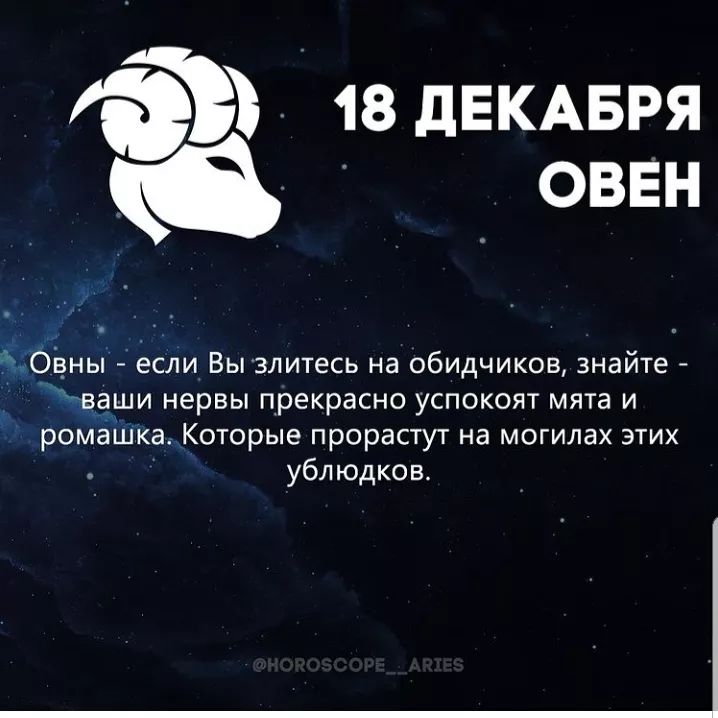 pipa.krm.krd в LOOKY. . null