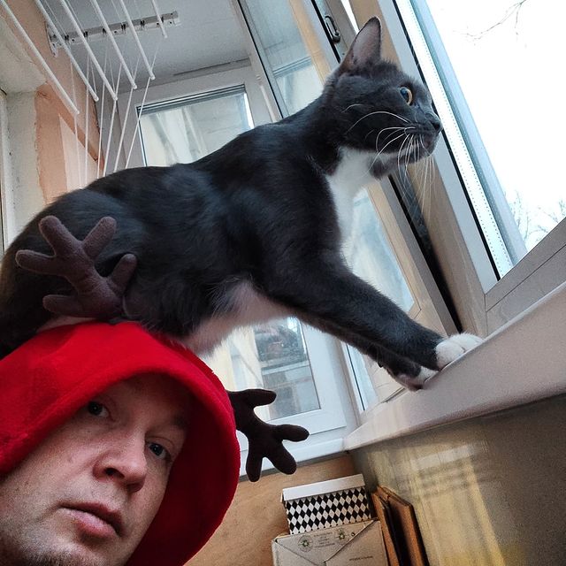 lipatovmv в LOOKY. #amazingcat,#toypet,#pet,#spb,#спб,#animal,#instacat,#ванлав,#carpetshark,#гиперактивность,#tomcat,#котенок,#кот,#мяу,#meow,#кекскот,#kexcat. Барный стул для кота...