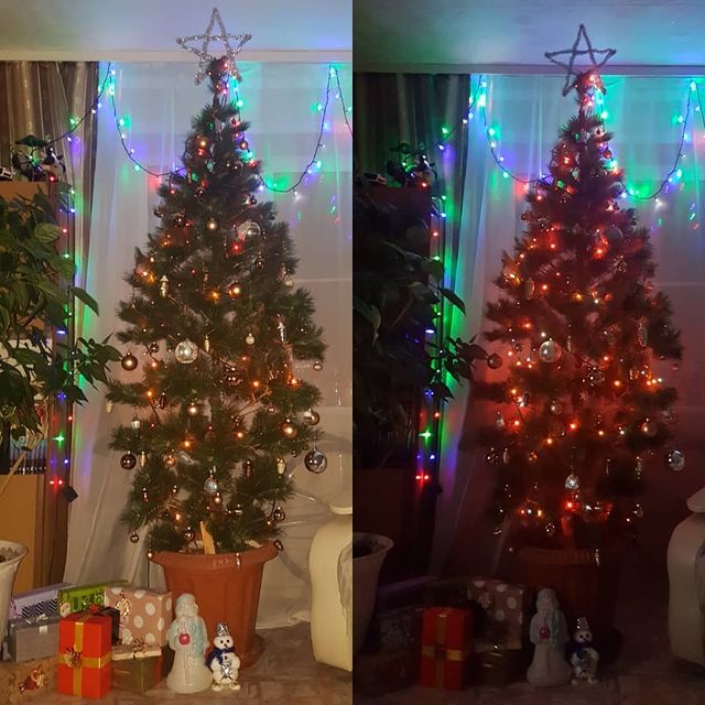 nelle.masimova в LOOKY. #Елочкагори,#снаступающимновымгодом🎄. #Елочкагори Наконец-...