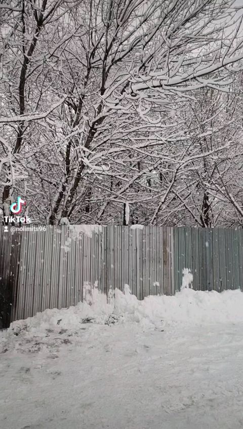 Константин в LOOKY. . null
