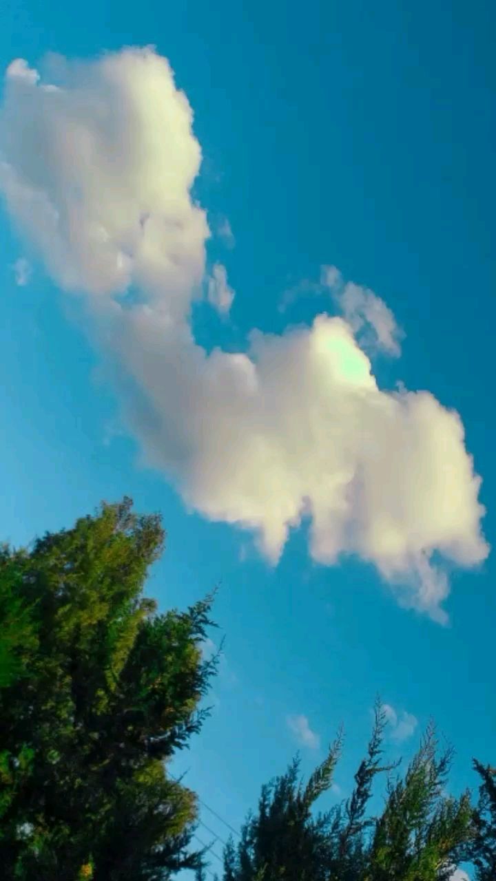 Mohammad Mustafa в LOOKY. . قلبٌ واسعٌ كالسّماء ...