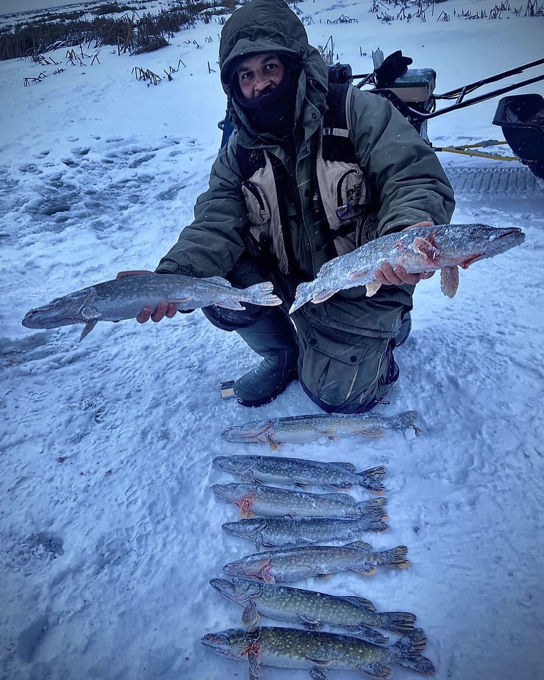 nero_fish в LOOKY — Постреляло ! Флаги посмотрел ! За корешей порадовался , коро