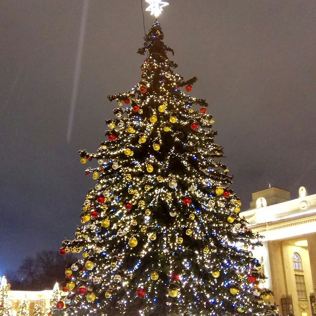 sea_inaa в LOOKY. . null