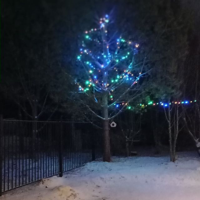 dohtur87 в LOOKY. #праздниккнамприходит🎄. #праздниккнамприходи...