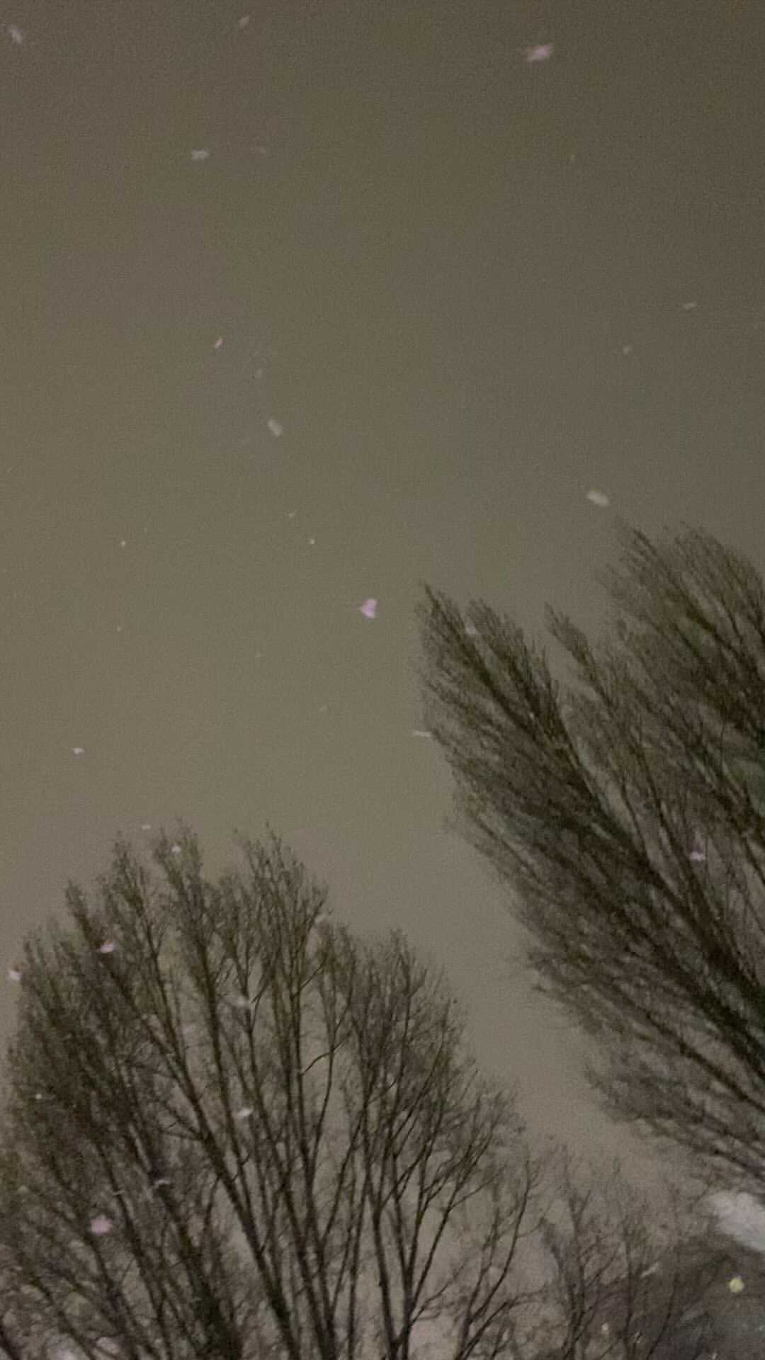 tane4ka_katysheva в LOOKY. . ❄️❄️❄️