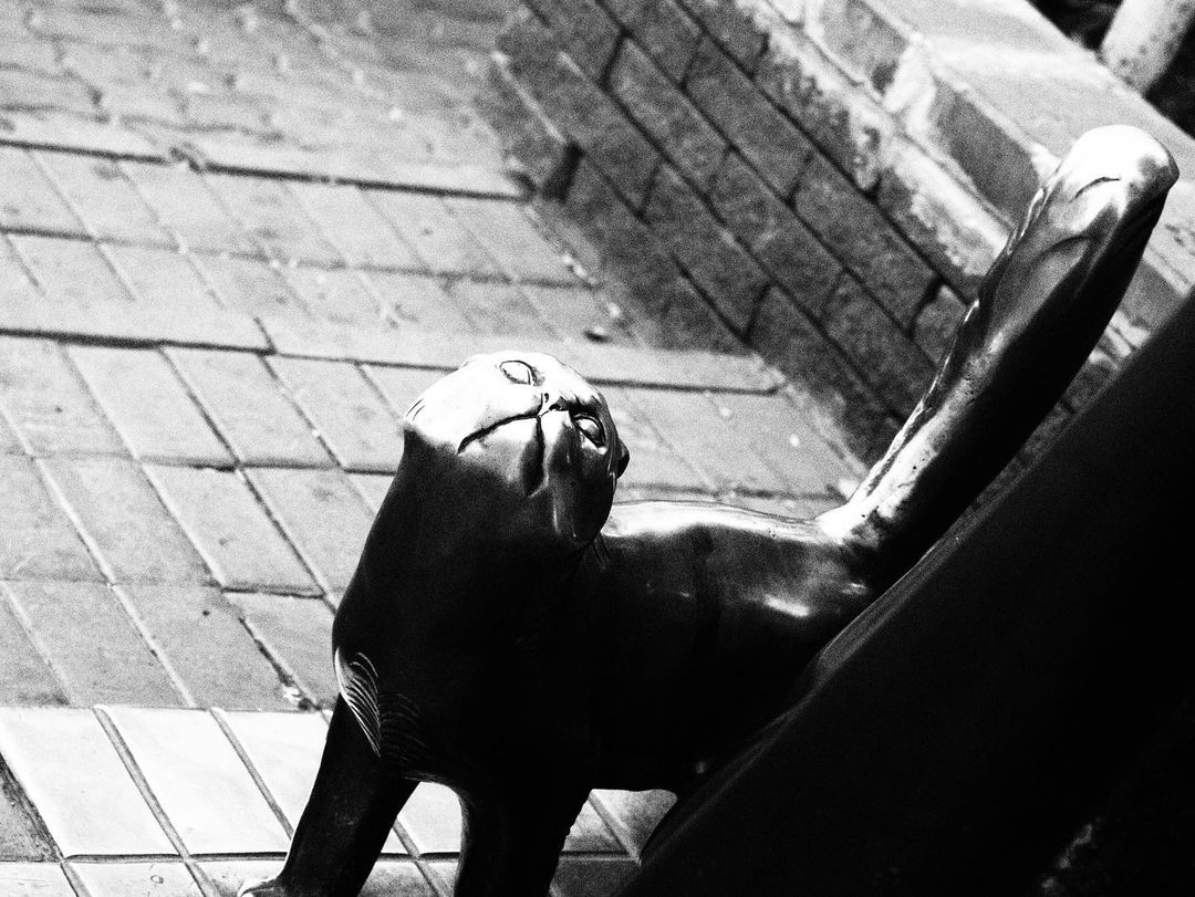 darkandnoirmood в LOOKY — фото 9