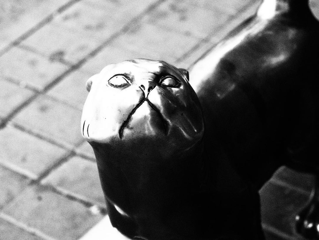 darkandnoirmood в LOOKY — фото 2