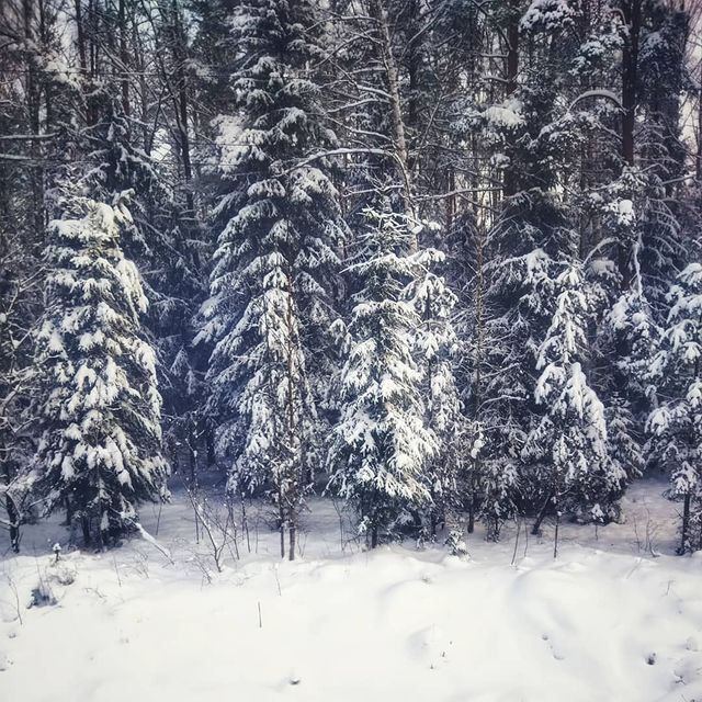 katundrii в LOOKY. . Обожаю поезда... Ещё...
