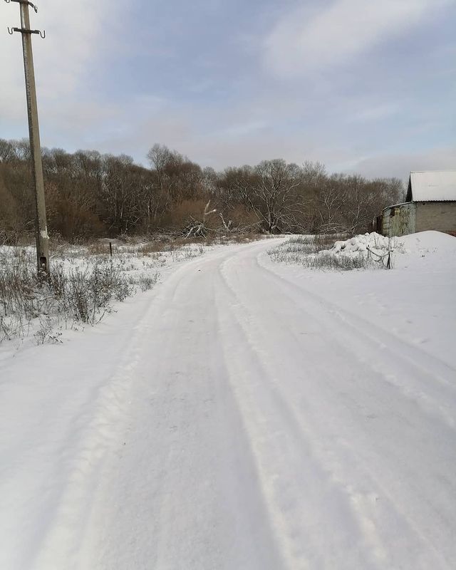 kotopes2001 в LOOKY. . null