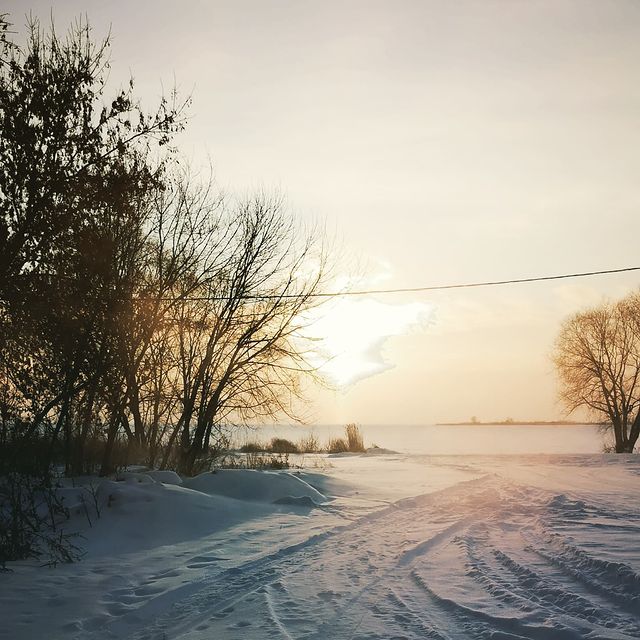 nero_fish в LOOKY. . null