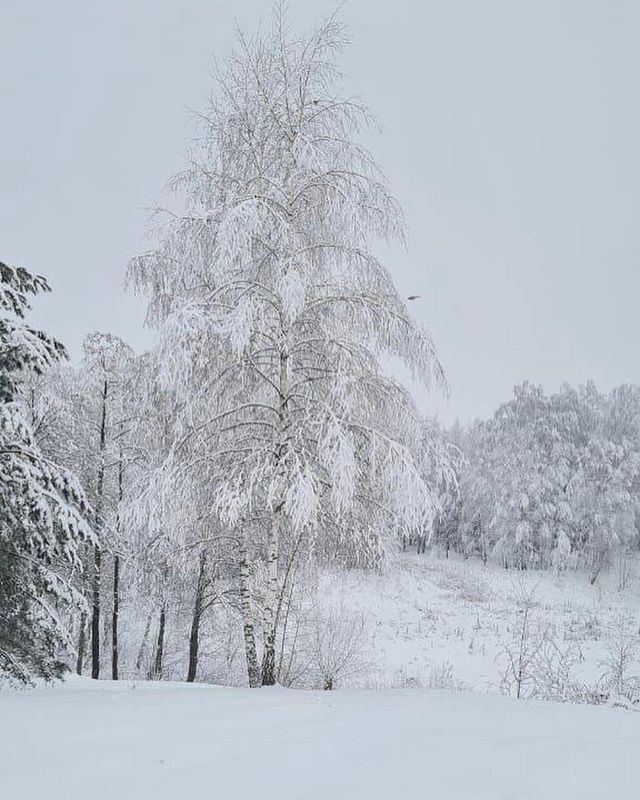 1svetok в LOOKY. . Снежная зима❄️❄️❄️
