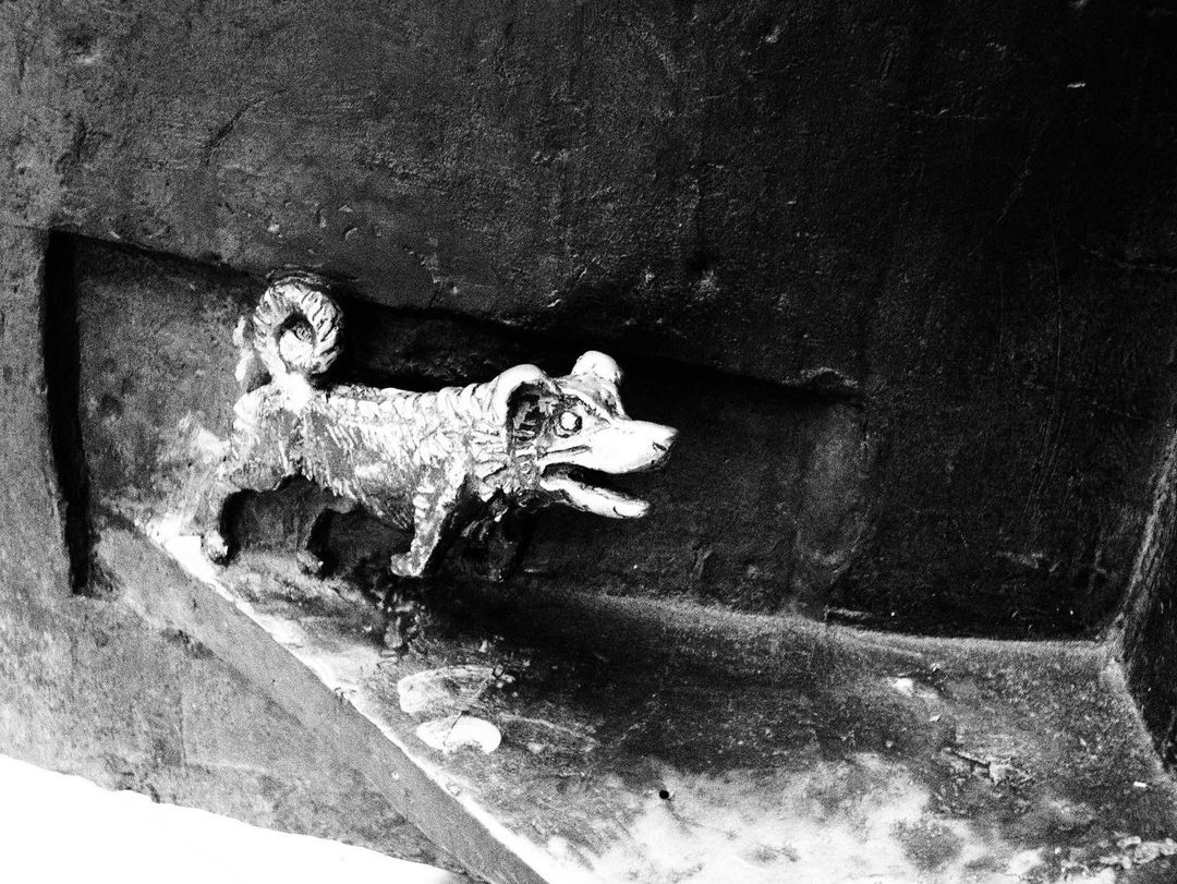 darkandnoirmood в LOOKY — фото 6