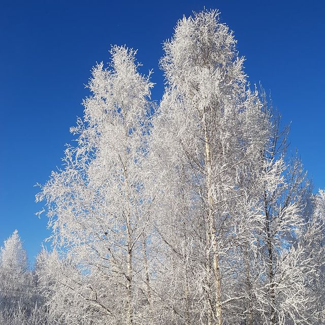 nelle.masimova в LOOKY. #красотазимы❄️❄️❄️. #красотазимы❄️❄️❄️