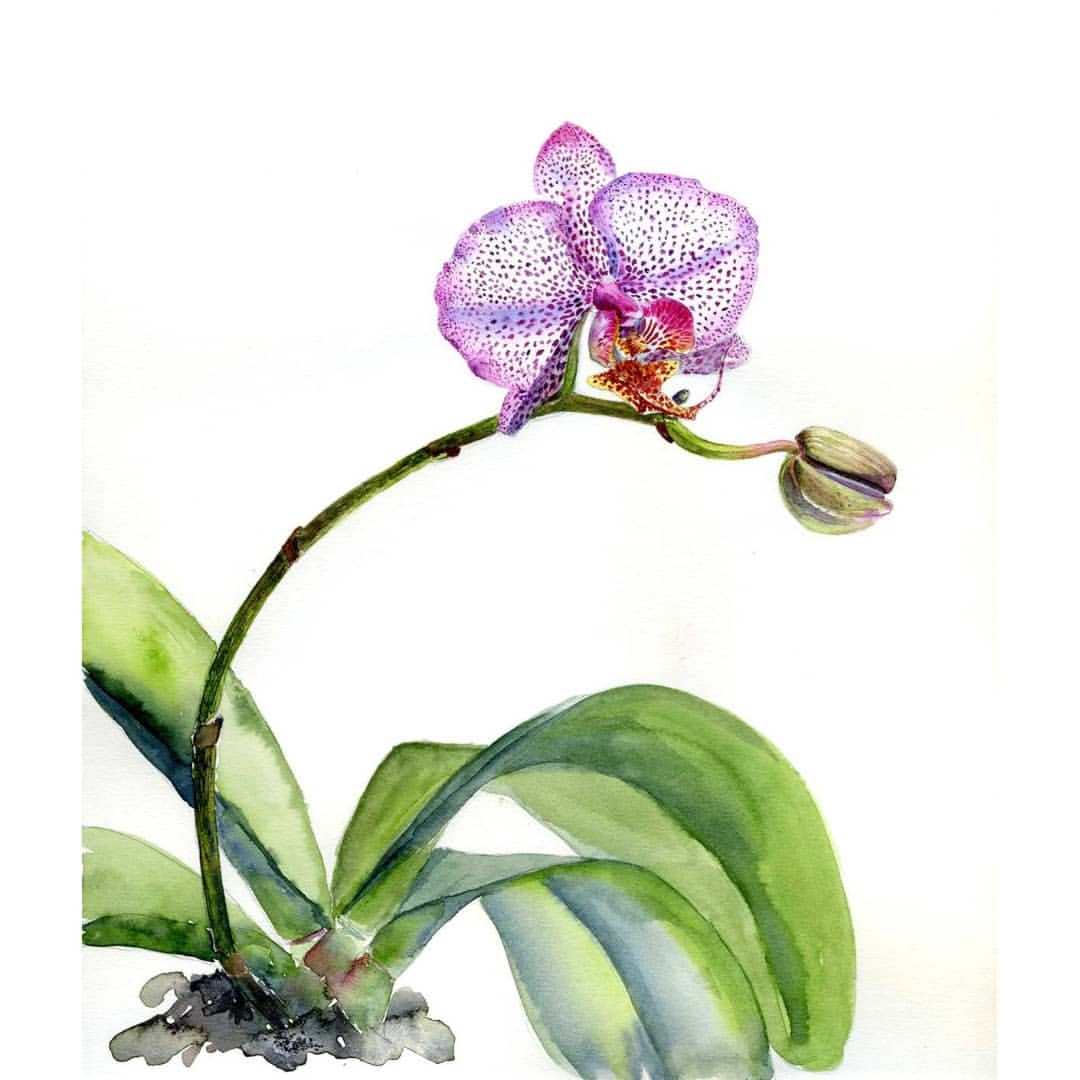 ovaleeva__ в LOOKY — фото 5