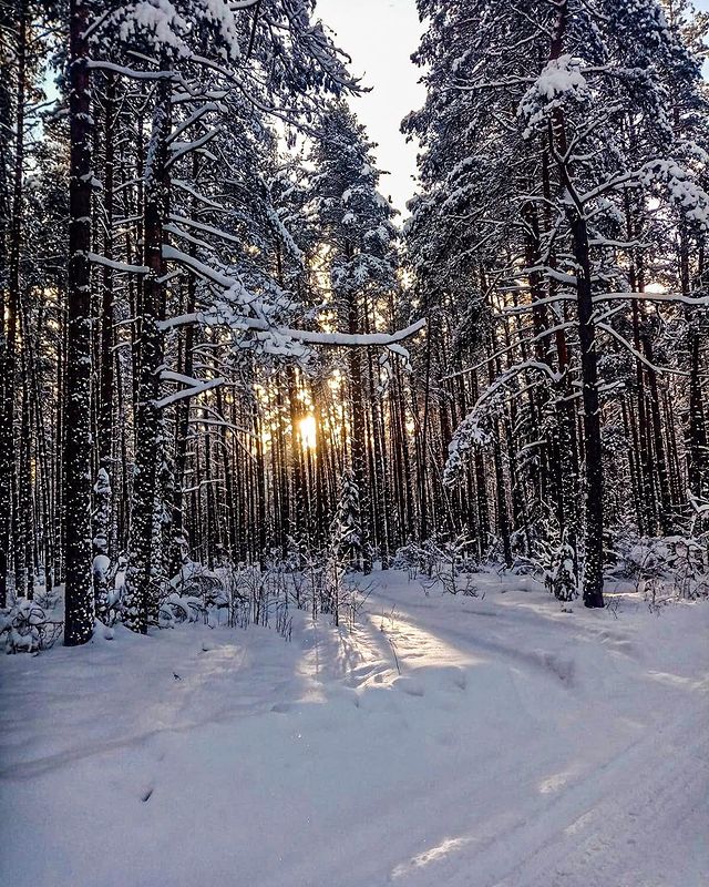 natysik.veselova в LOOKY. . null