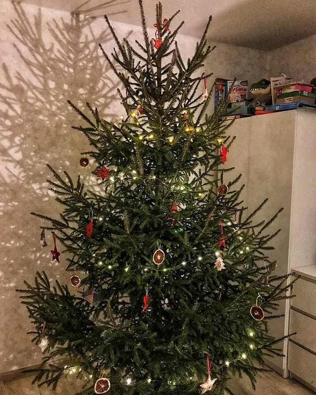 smaragdova_n в LOOKY. . ✨Ёлка украшена апель...