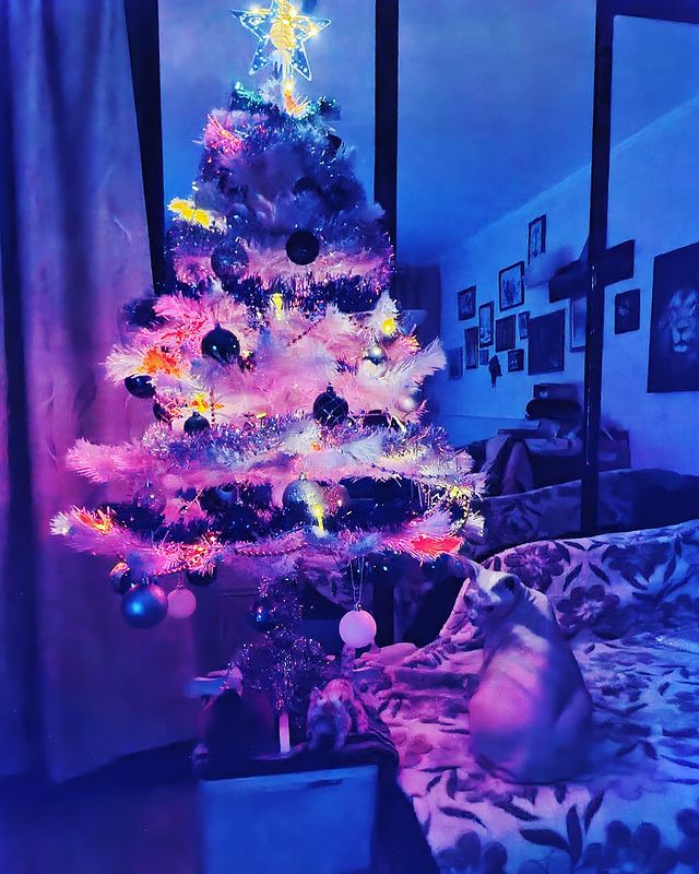 elena_krivets1966 в LOOKY. . Романтический кош