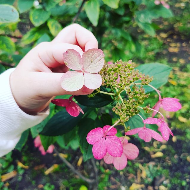 mariya_landshaft в LOOKY. . Что для меня 2021 го...
