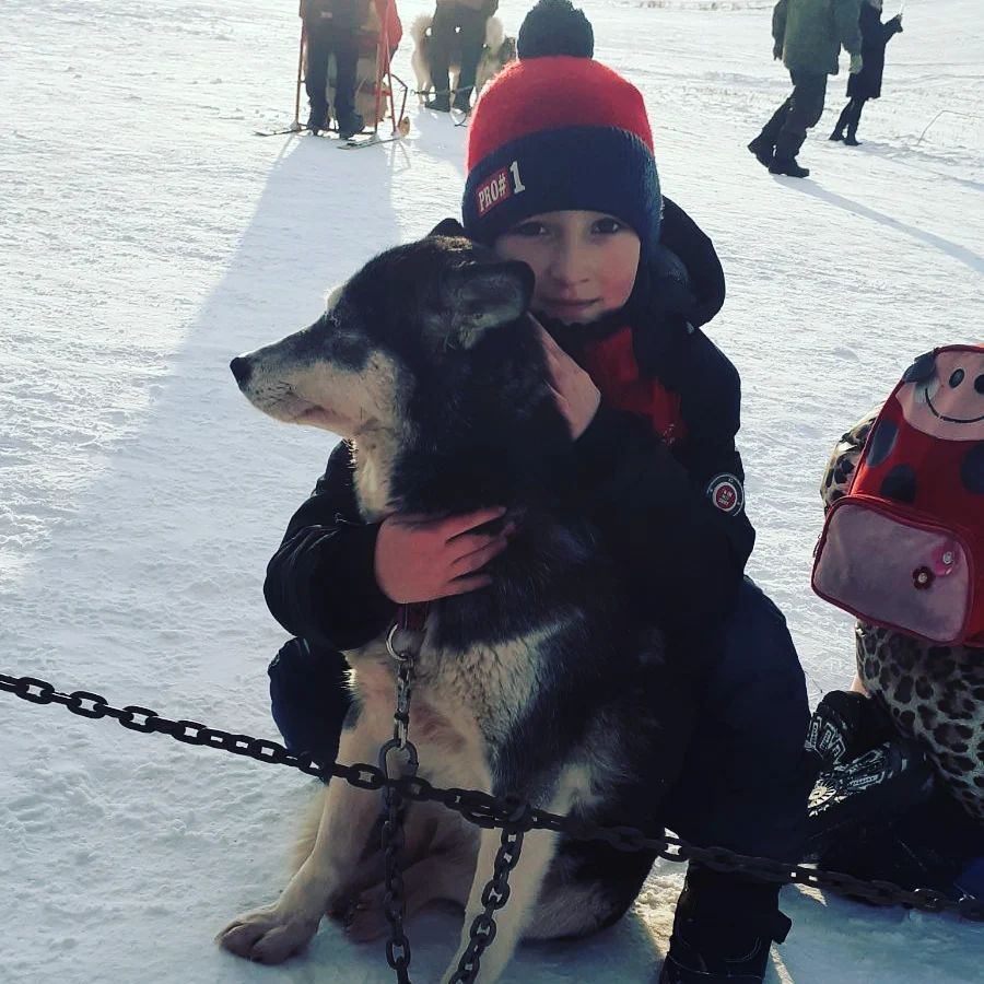 _ska4kova_mari_ в LOOKY. . Хаски 🥰🐕‍🦺