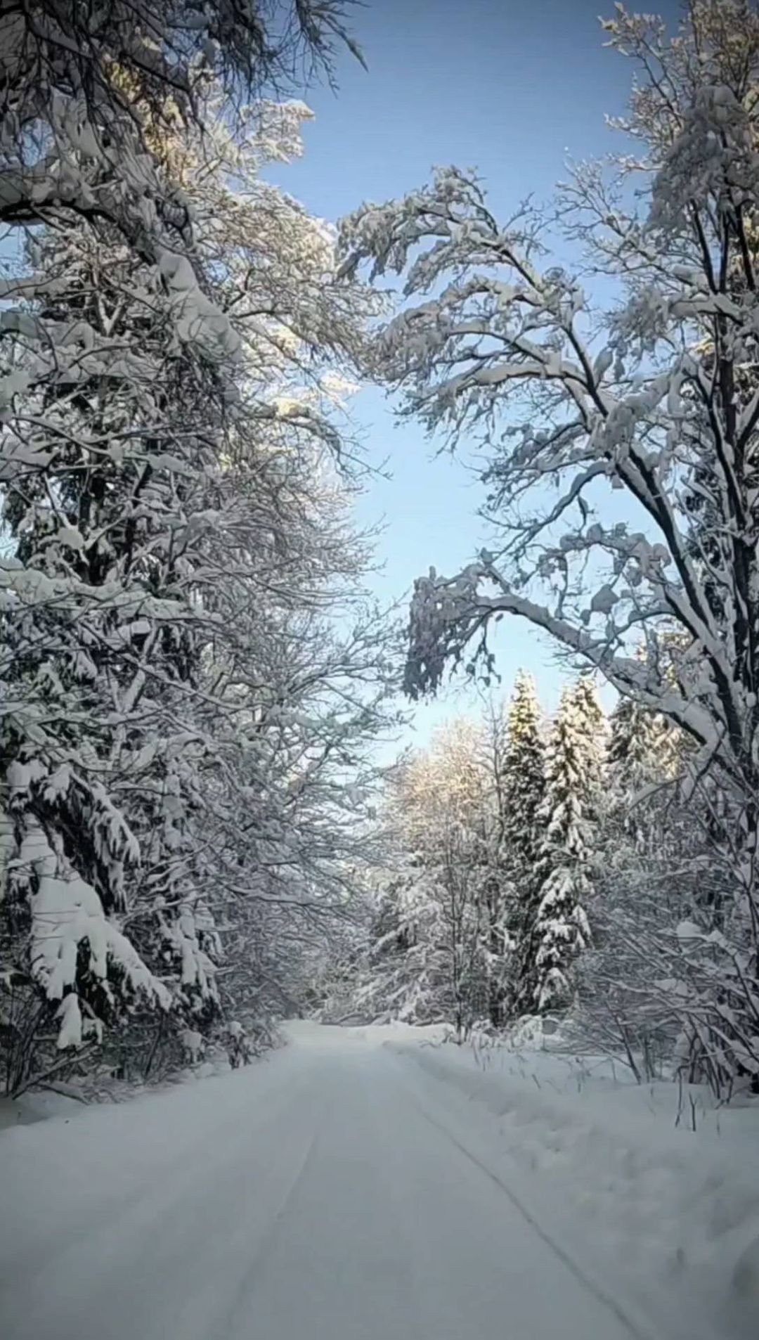 boombastick2026 в LOOKY. . Magic Road ❄❄❄
