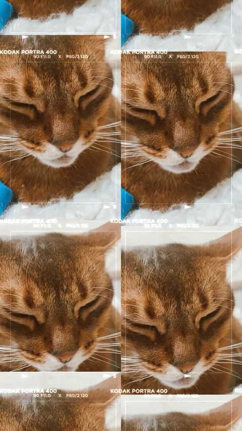 etanol_krasoty в LOOKY. . null