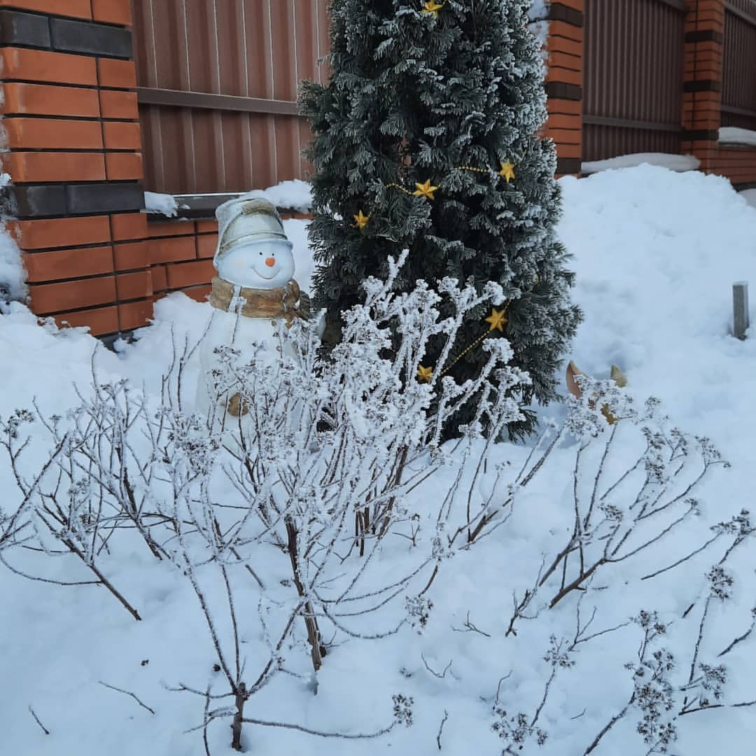 pryanichnitsa в LOOKY. . Вчера был прекрасный...