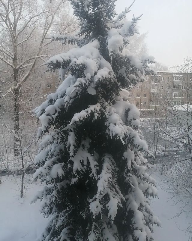 lyubov_svetl в LOOKY. . Вот такая ёлочка под...