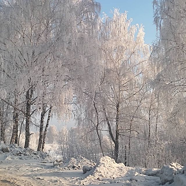 m.belevkin в LOOKY. #безфильтров. Первая подобная публ...